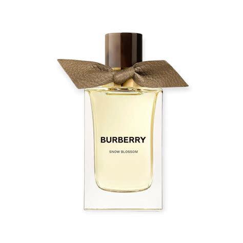 Burberry parent company